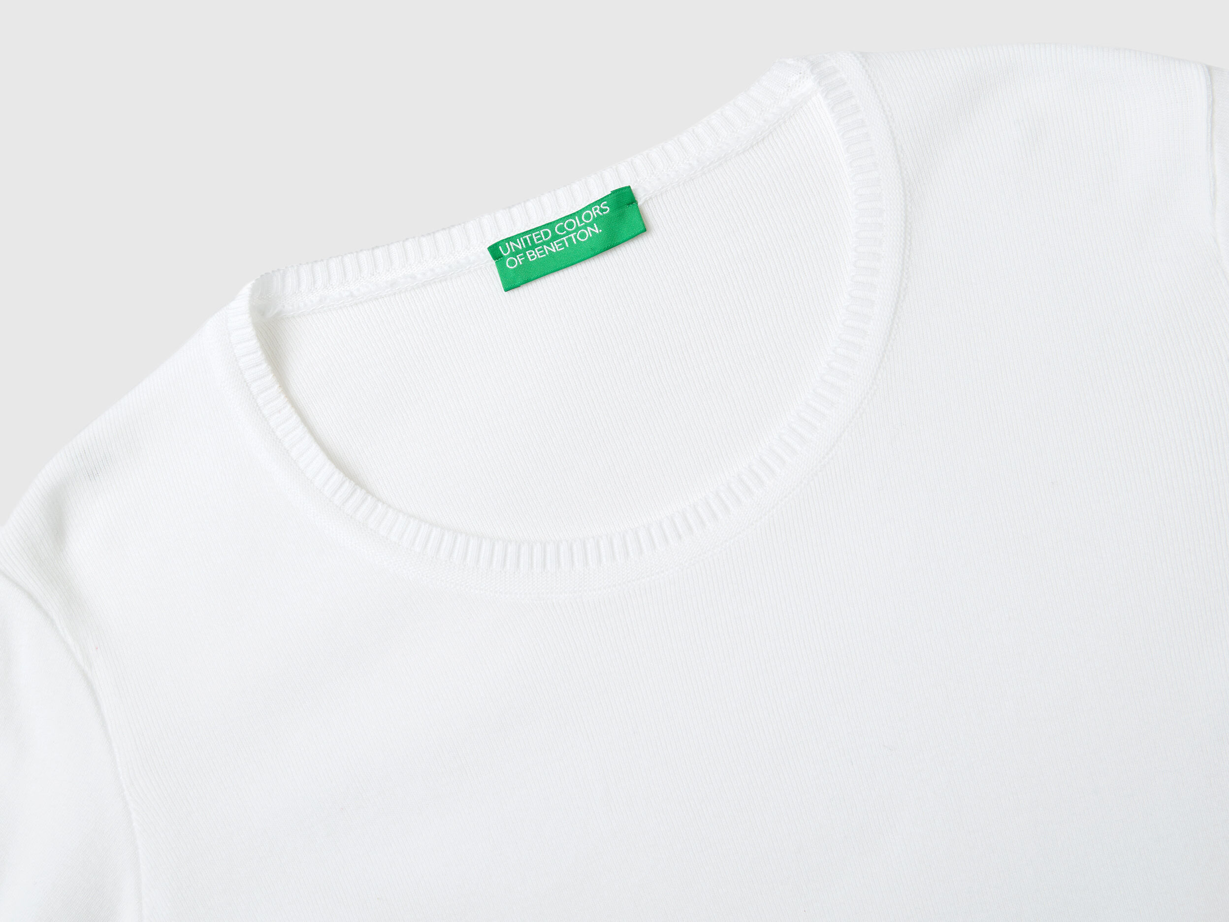 Crew neck sweater in pure cotton