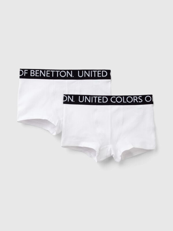 Junior Boys' Underwear Undercolors Collection