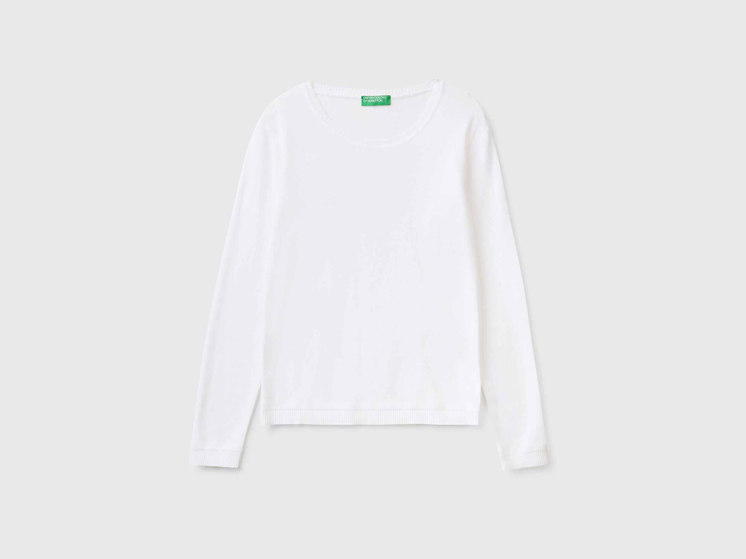 Crew neck sweater in pure cotton