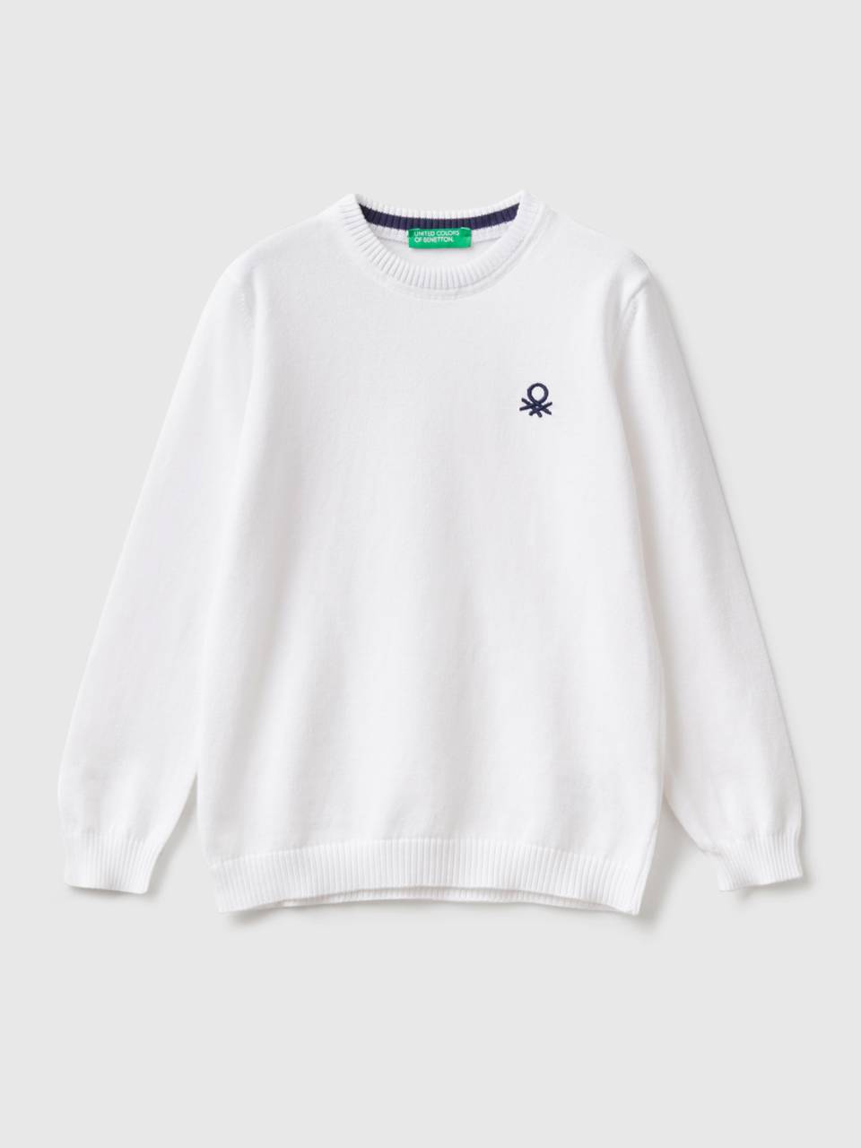 Regular fit sweater in 100 cotton