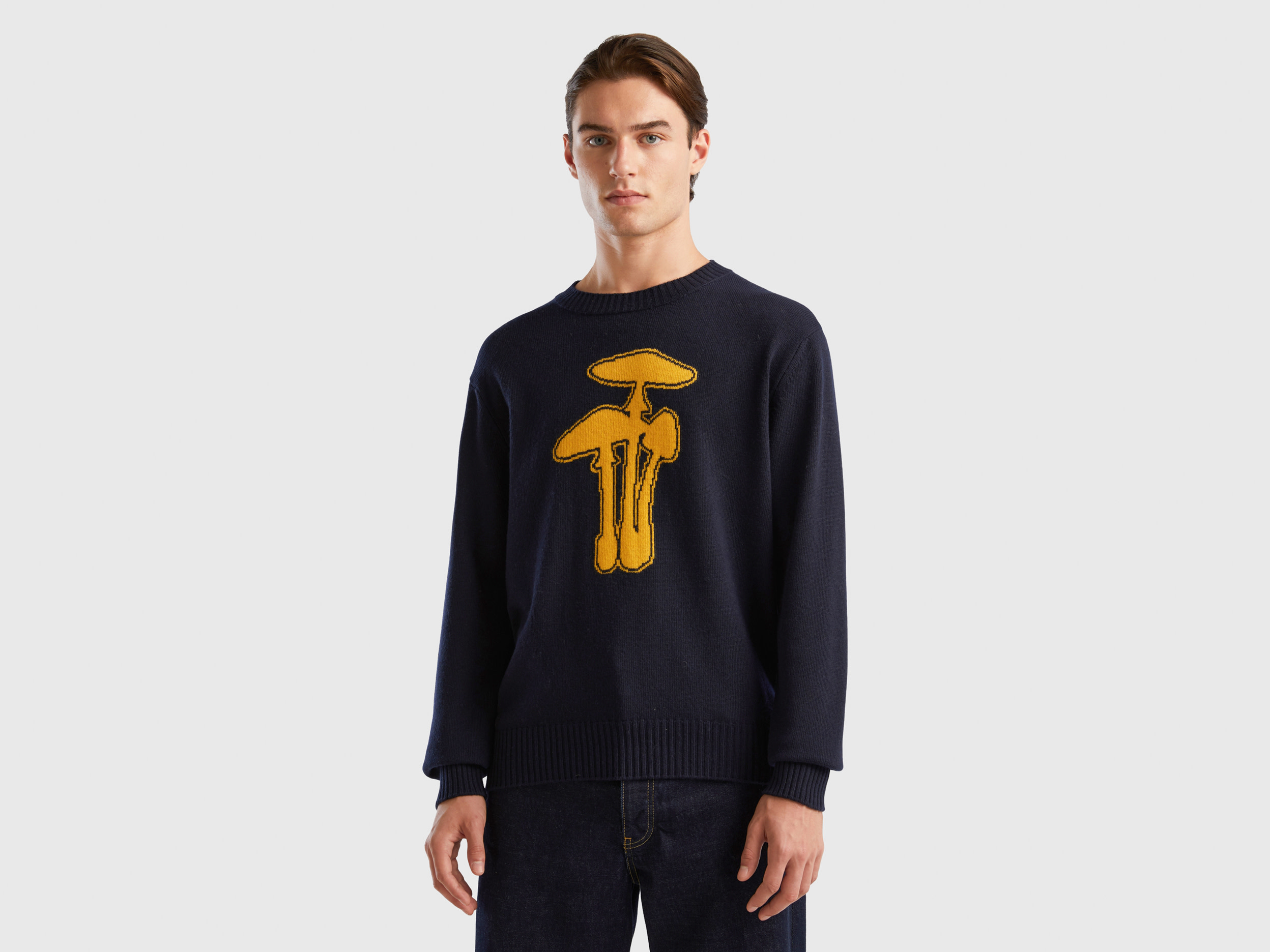 Benetton, Sweater With Mushroom Inlay, size L, Dark Blue, Men