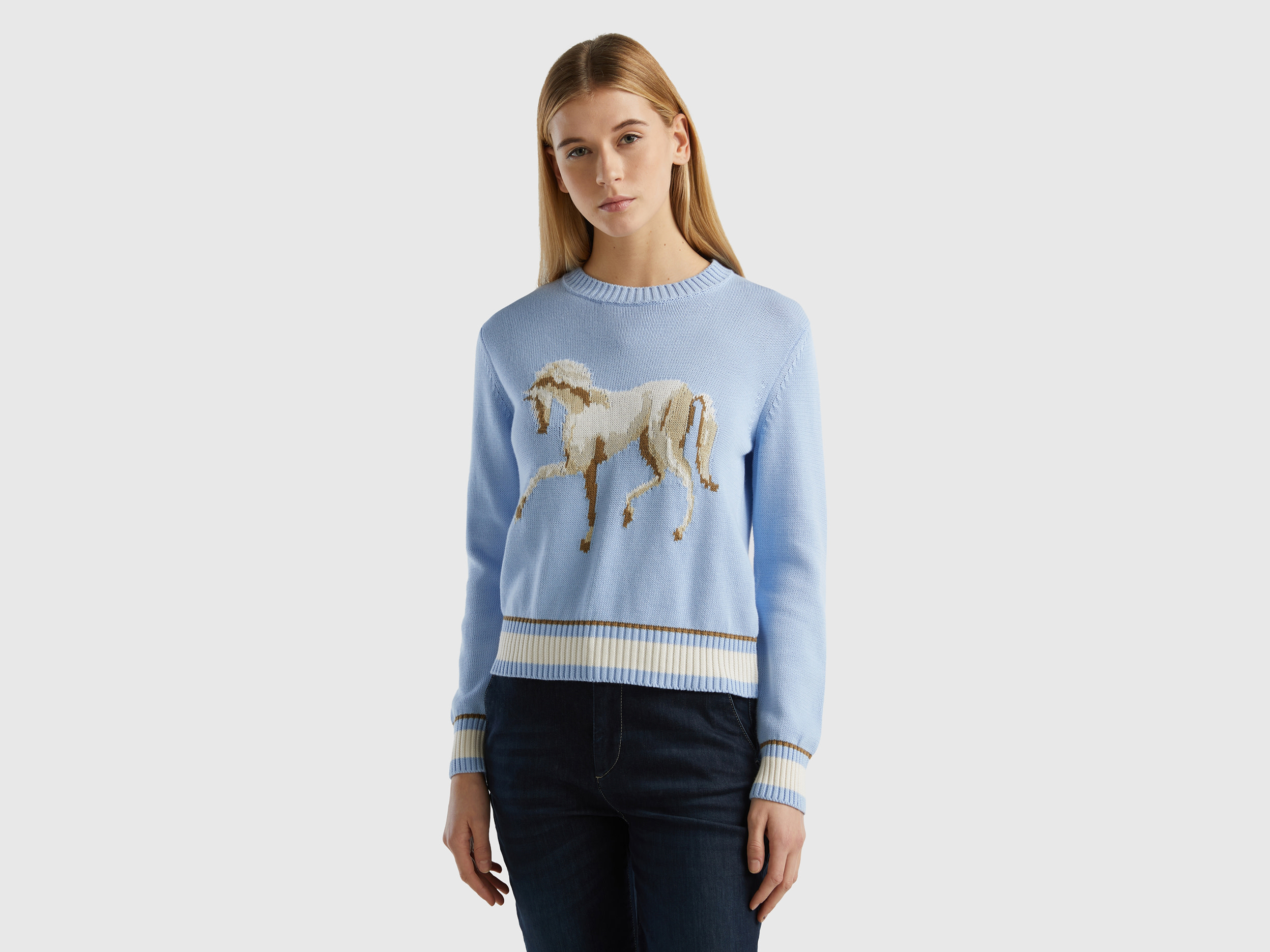 Benetton, Sweater With Horse Inlay, size M, Sky Blue, Women