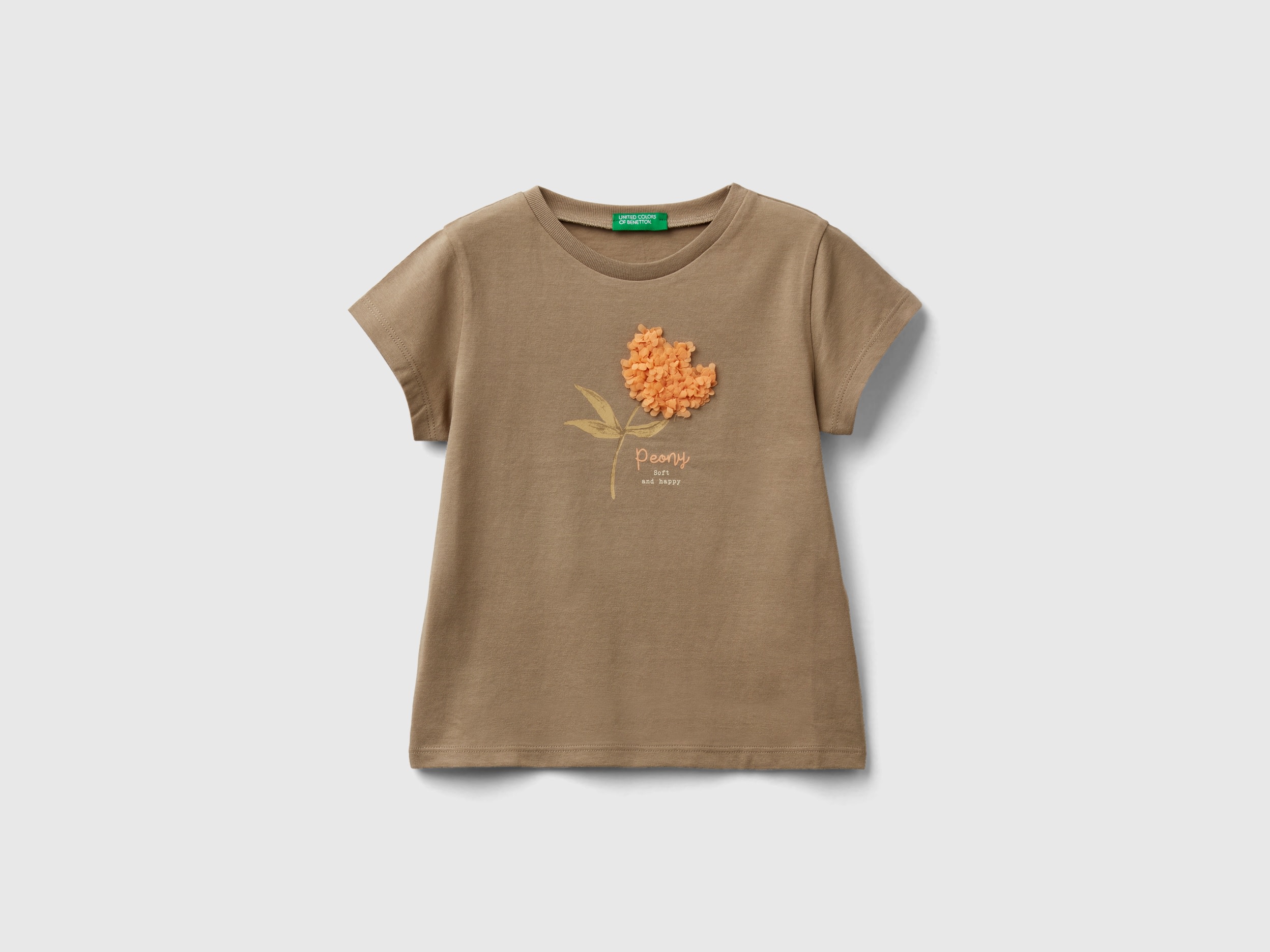 Image of Benetton, T-shirt With Petal Effect Applique, size 104, Light Green, Kids