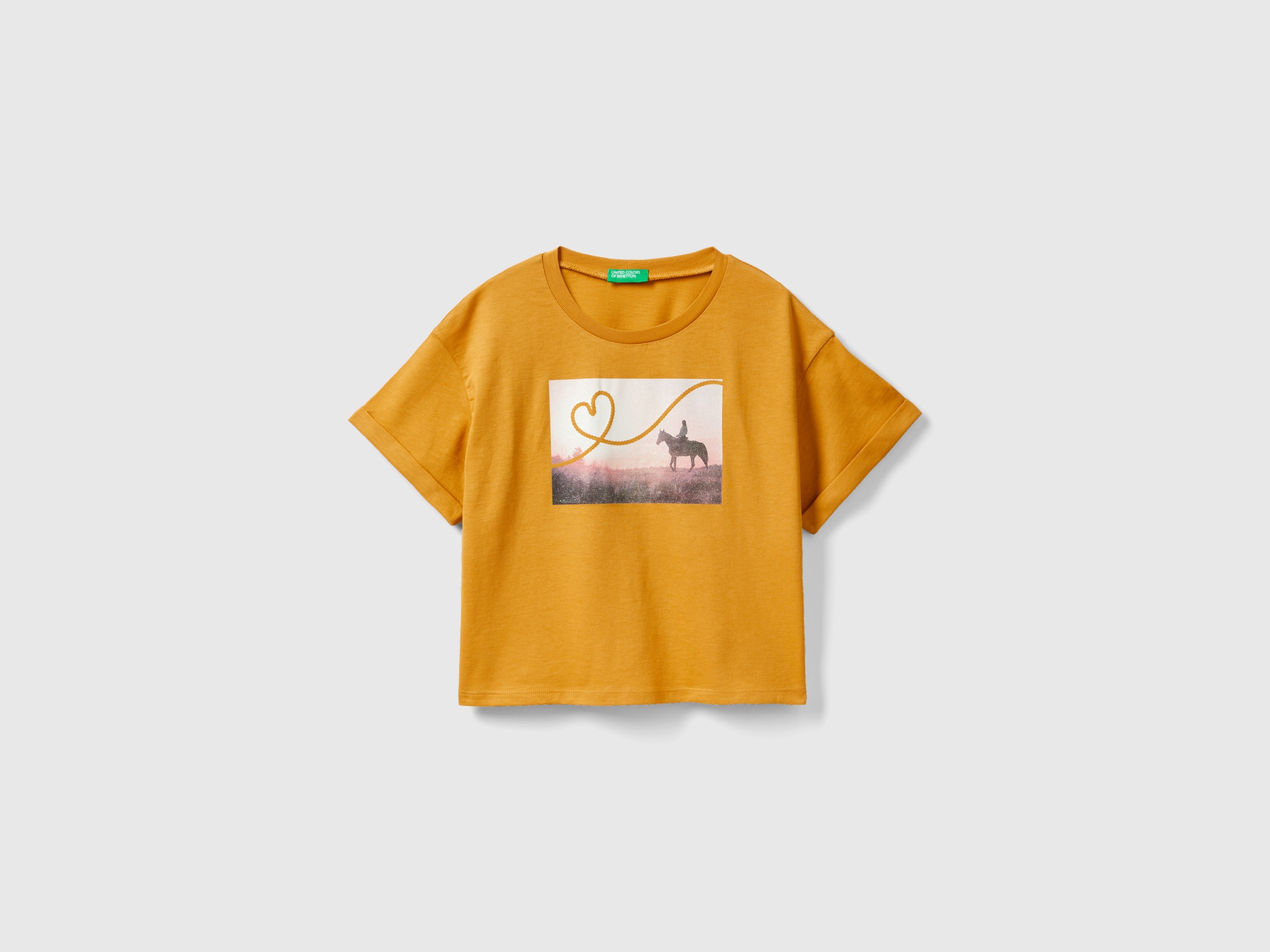Image of Benetton, T-shirt With Photographic Horse Print, size 2XL, Mustard, Kids