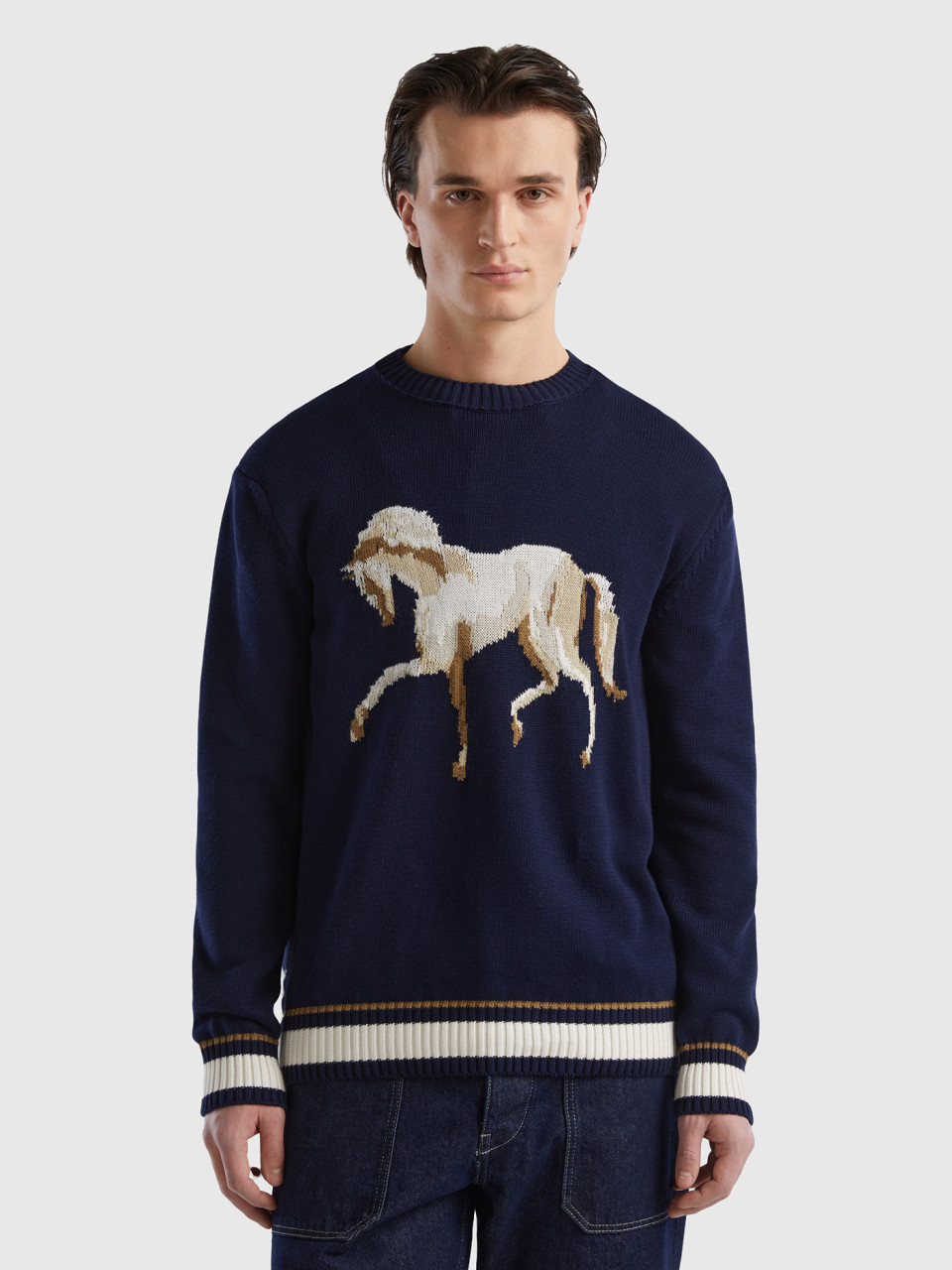 Benetton, Sweater With Horse Inlay, Dark Blue, Men